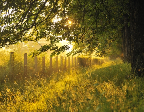 Tempo all’aria aperta: un dono prezioso