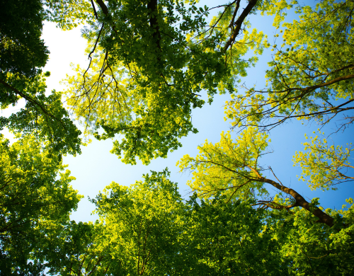 Kioene: un 2024 tra innovazione, comunità e sostenibilità