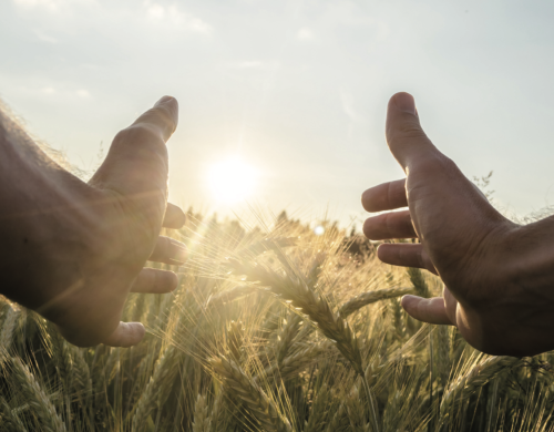 Pubblicato il primo Bilancio di Sostenibilità Kioene