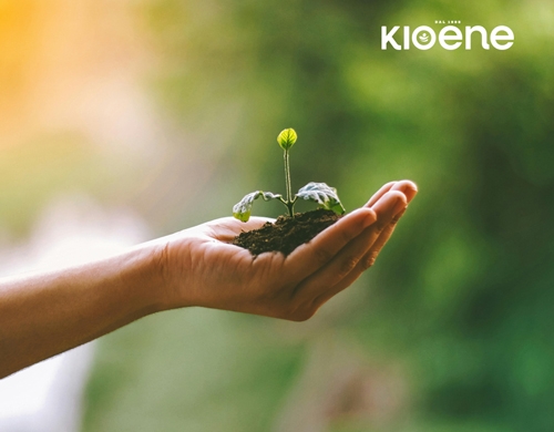 Giornata Mondiale della Terra 2026: il significato e le scelte che fanno la differenza